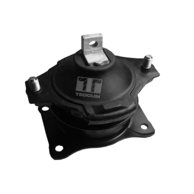 Abbildung von TEDGUM 00260933 Halter, Motoraufhängung Hydrolager vorne HONDA: Accord 7 Limousine
