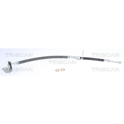 Abbildung von TRISCAN 8150 43119 Bremsschläuche F10x1 HYUNDAI: Getz