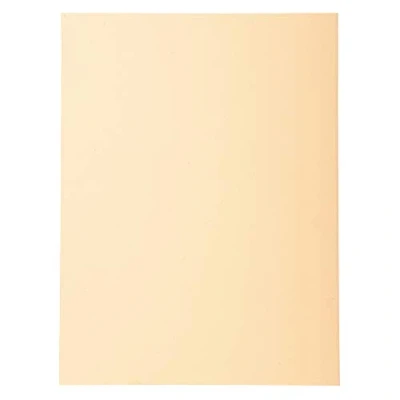 Abbildung von Exacompta 420002E 100er Pack Aktendeckel Forever® 170 g/m2 Aus Recycling Karton für DIN A4 Blauer Engel ideal die lose Blatt Ablage sand Sammelmappe Dokumentenmappe