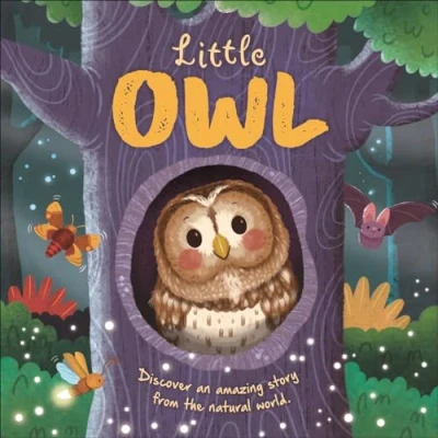 Abbildung von Little Owl (An illustrated story about the life cycle of an owl)