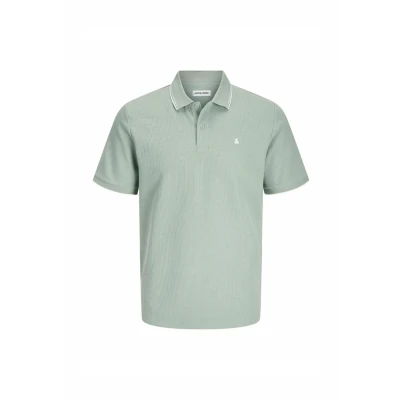 Abbildung von Jack &amp; Jones Jjeaustin SS Poloshirt, Herren, Größe: Small, Iceberg green