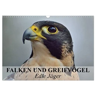 Abbildung von Falken und Greifvögel. Edle Jäger (Wandkalender 2025 DIN A3 quer), CALVENDO Monatskalender