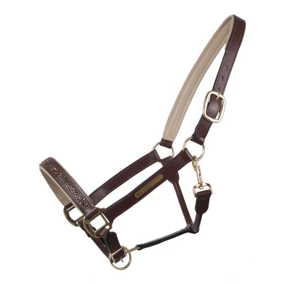 Abbildung von QHP Leren Halster Lupine