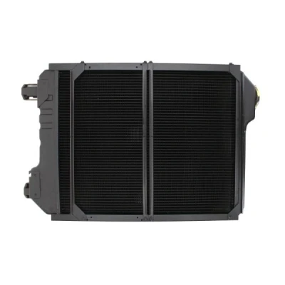 Abbildung von THERMOTEC D7AG134TT Kühler, Motorkühlung 640 520 109