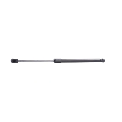 Abbildung von RIDEX 219G0660 Heckklappendämpfer 445 485 DODGE: Caliber