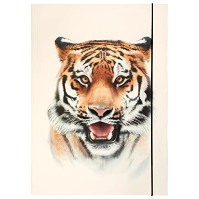Abbildung von folia 69004 Sammelmappe A3 Basic Roaring Tiger, aus stabilem Karton mit Gummiband