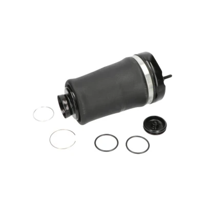 Abbildung von Luftfeder, Fahrwerk KAVO PARTS SAS 10004