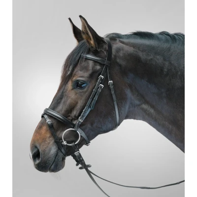 Abbildung von Waldhausen STAR Trense Lifestyle Cob Braun