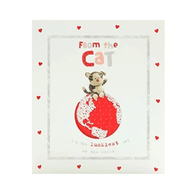 Abbildung von Boofle Valentinstagskarte von der Katze niedliches Design