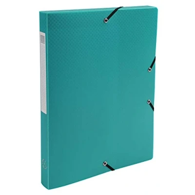 Abbildung von Exacompta 59683E Sammelbox OPAK mit Gummizug 25 mm breit aus blickdichtem Kunststoff Rückenschild für DIN A4 Archivbox Heftbox Dokumentenbox Zeichenbox dunkelgrün