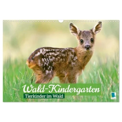 Abbildung von Wald Kindergarten: Tierkinder im (Wandkalender 2025 DIN A3 quer), CALVENDO Monatskalender