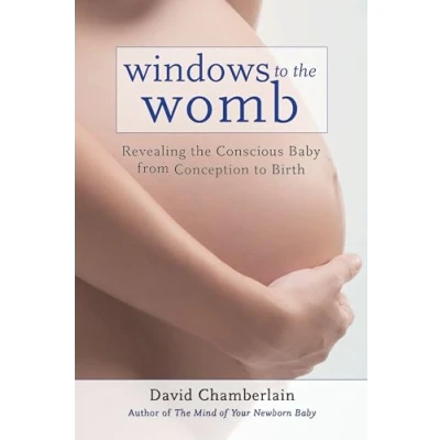 Abbildung von Windows to the Womb: Revealing Conscious Baby from Conception Birth