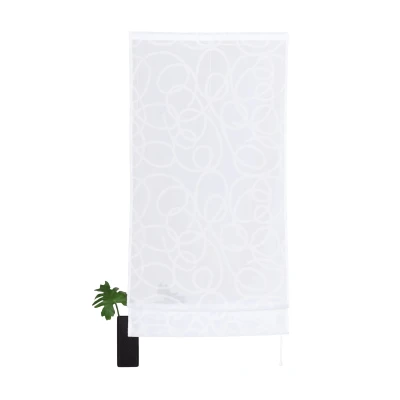 Abbildung von my home Raffrollo &quot;Tanaro&quot;, mit Klettschiene, Transparent, Voile, Polyester