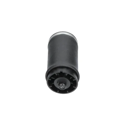 Abbildung von Luftfeder, Fahrwerk KAVO PARTS SAS 10035