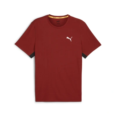 Abbildung von Puma RUN Favorite Velocity Sport Tshirt, Herren, Größe: Large, Mars red