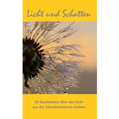 Abbildung von Licht und Schatten: 30 Geschichten über aus der Schreibwerkstatt Gedern