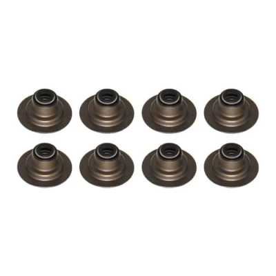 Abbildung von AJUSA 57017300 Dichtungssatz, Ventilschaft FORD: Escort 3, Sierra Mk2 Schrägheck, 6 Cabrio