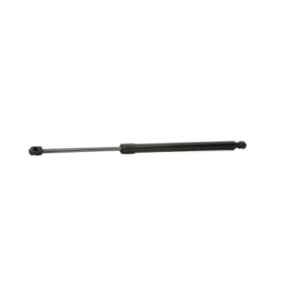 Abbildung von RIDEX 219G0450 Heckklappendämpfer 585 555 MAZDA: Tribute Station Wagon