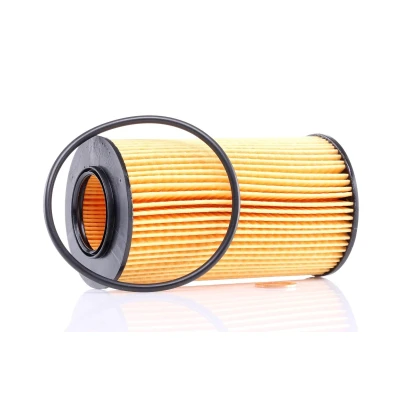Abbildung von PURFLUX L307 Ölfilter Filtereinsatz BMW: 3 Limousine, Touring, 5 LAND ROVER: Freelander I SUV, SUV Cabrio, 75