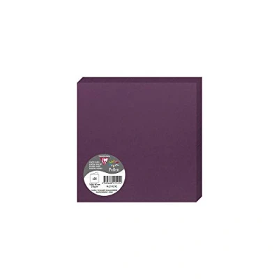 Abbildung von Clairefontaine 21121C Packung mit 25 Doppelkarten Pollen (gefaltet, 16 x cm, 210 g) 1 Pack cassis