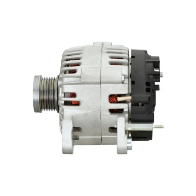 Abbildung von HELLA 8EL 015 630 501 Lichtmaschine 14V 110A VOLKSWAGEN: Polo V Schrägheck, Golf 6, Plus / Crossgolf, SKODA: Fabia 2 Combi, Roomster