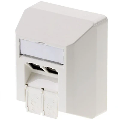 Abbildung von Telegärtner Netzwerkdose Aufputz CAT 6a 2 Port Alpinweiß J00023A0204