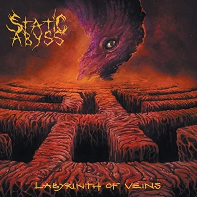 Abbildung von Labyrinth of Veins (Black Vinyl) [Vinyl LP]