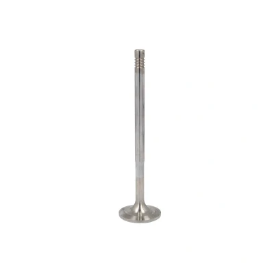 Abbildung von Einlassventil MAHLE 061 VE 32054 000