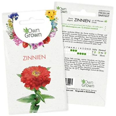 Abbildung von Zinnien Samen: Premium Zinnia Elegans Samen für 60 blühende Pflanzen Zinnie Bunte Blumensamen Blumenwiese und Balkonblumen Saatgut Blumen Bienen von OwnGrown