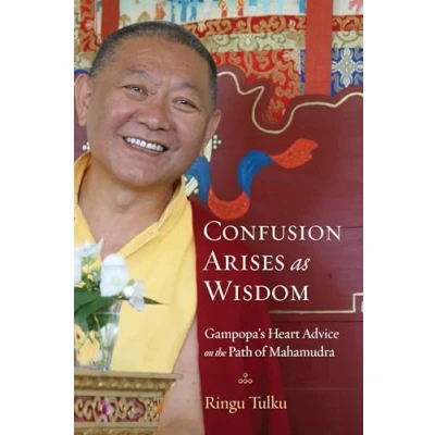 Abbildung von Confusion Arises as Wisdom: Gampopa&#039;s Heart Advice on the Path of Mahamudra
