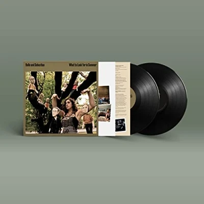Abbildung von What to Look for in Summer [Vinyl LP]