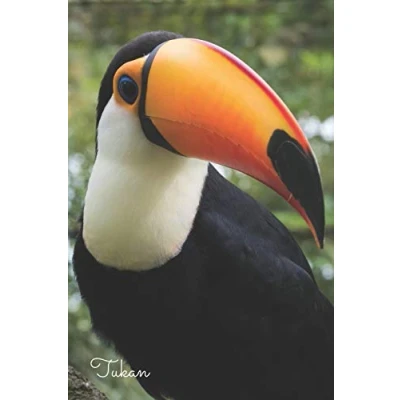 Abbildung von Tukan: Notizbuch / Tagebuch DIN A5 120 Seiten liniert Vogel Geschenk Vogelliebhaber