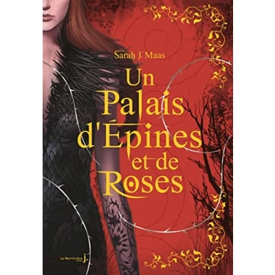 Abbildung von Un Palais d&#039;épines et de roses T1 Collector: (ACOTAR)