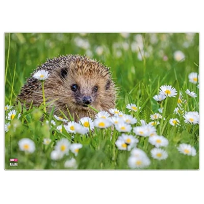 Abbildung von VELOFLEX 4650097 Schreibtischunterlage Igel, 35 x 50 cm, rutschfest, abwischbar, mit transparenter Antireflex Schutzfolie, Schreibtischauflage, Malunterlage, Bastelunterlage
