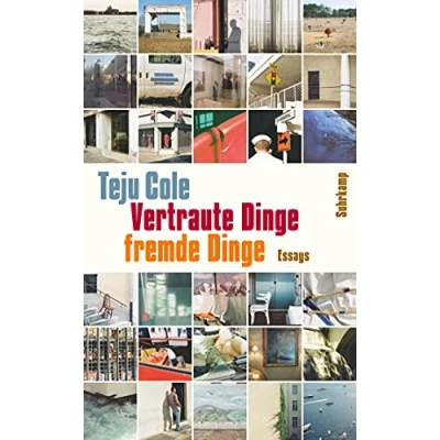 Abbildung von Vertraute Dinge, fremde Dinge: Essays