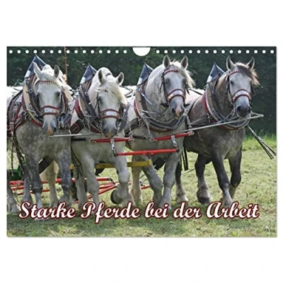 Abbildung von Starke Pferde bei der Arbeit (Wandkalender 2025 DIN A4 quer), CALVENDO Monatskalender