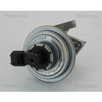 Abbildung von TRISCAN 8813 16045 AGR Ventil unterdruckgesteuert ohne Dichtungen FORD: Transit Mk5 Bus, Pritsche/Fahrgestell, Kastenwagen
