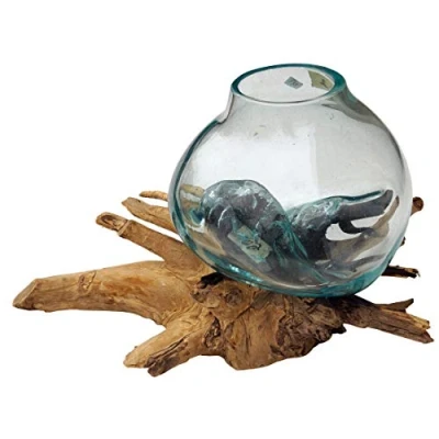 Abbildung von Guru Shop Dekovase Wurzelholz Vase 1 * Ø Glas bis 10 cm
