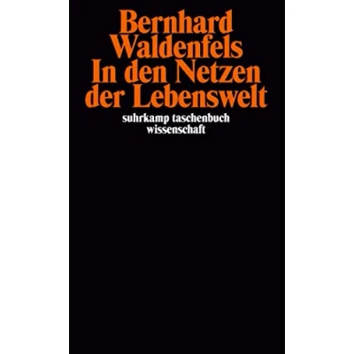 Abbildung von In den Netzen der Lebenswelt (suhrkamp taschenbuch wissenschaft)
