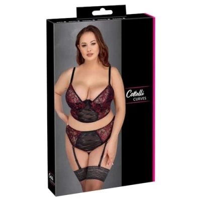 Abbildung von Longline BH plus Straps Slip im edlen Material Mix aus 2 farbiger Spitze und Powernet
