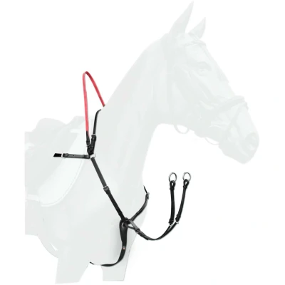 Abbildung von Waldhausen Vorderzeug Secutr. Sicherheitszügel Schwarz Pony
