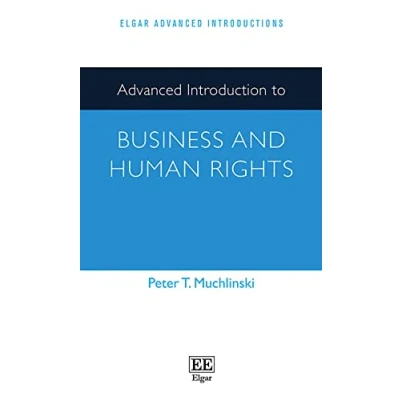 Abbildung von Advanced Introduction to Business and Human Rights (Elgar Introductions)