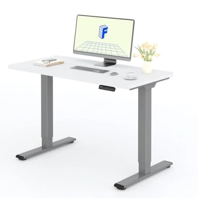 Abbildung von FLEXISPOT Höhenverstellbarer Schreibtisch mit 2 Motoren &amp; 25MM einteiliger Tischplatte,ergonomischer Bürotisch 120 x 60 cm Weiß, graues Gestell