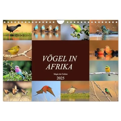 Abbildung von Vögel in Afrika Magie der Farben (Wandkalender 2025 DIN A4 quer), CALVENDO Monatskalender