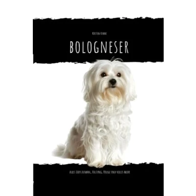 Abbildung von Bologneser: alles über Auswahl, Haltung, Pflege und vieles mehr...