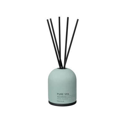 Abbildung von Blomus FRAGA Pine Gray Raumduft Set Basil &amp; Bergamot 0,1l