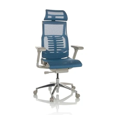 Abbildung von hjh OFFICE Profi Bürostuhl DYNAFIT II G Netz ergonomischer Drehstuhl mit Flexibler Lordosenstütze, Blau, 652282