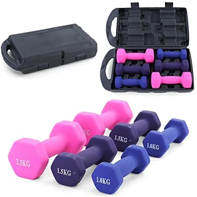 Abbildung von RAMROXX Hantel Set 10kg Fitness Vinyl Hanteln 2x1kg 2x1,5kg 2x2,5kg Gymnastikhanteln Kurzhantel