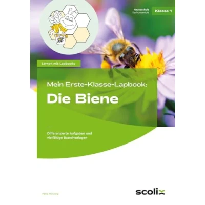 Abbildung von Mein Erste Klasse Lapbook: Die Biene: Differenzierte Aufgaben und vielfältige Bastelvorlagen (Lernen mit Lapbooks Grundschule)