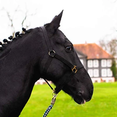 Abbildung von Halfter für Pferd Warmblut, Vollblut, Kaltblut Stallhalfter, Weidehalfter, 2 Fach verstellbar an Kinnriemen und Genickstück, sicher &amp; reißfest (Schwarz, Kaltblut)
